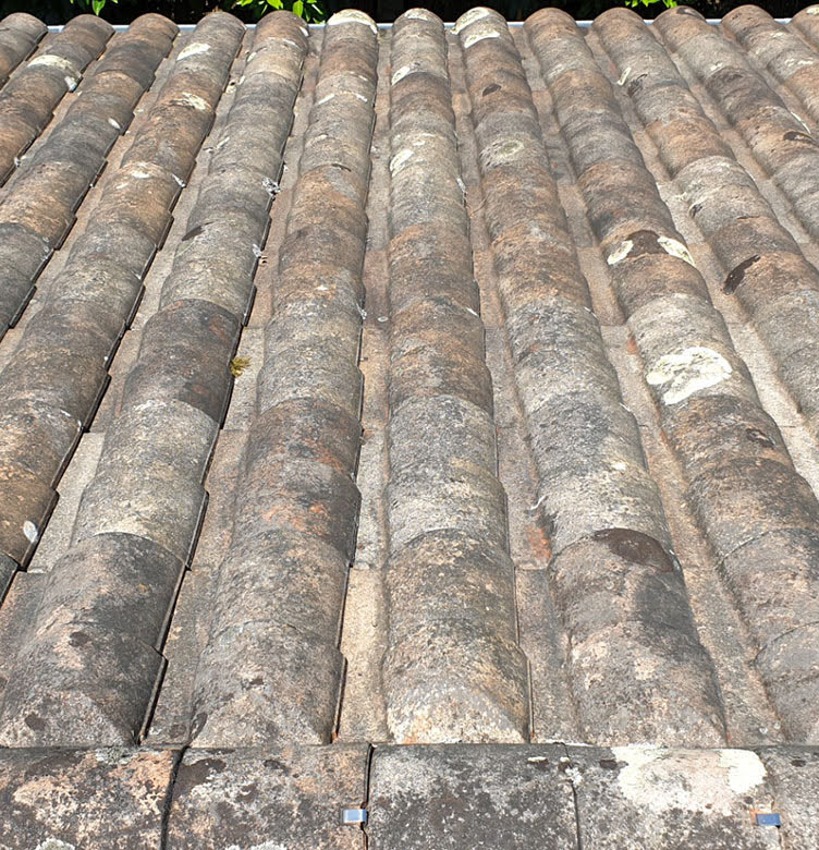 Nettoyage et traitement toiture à La Couronne en Charente